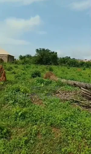 A Land of 100/200 Feet at Isiukhukhu, Close to Ekiadolo 4 Sale