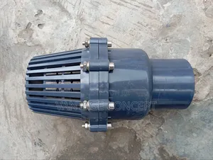 Foot Valve