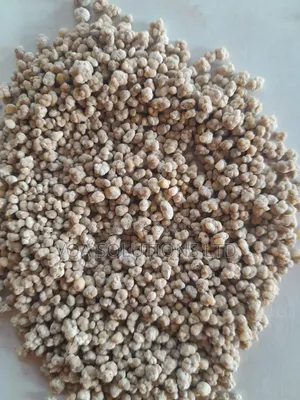 Single Super Phosphate SSP Fertilizers