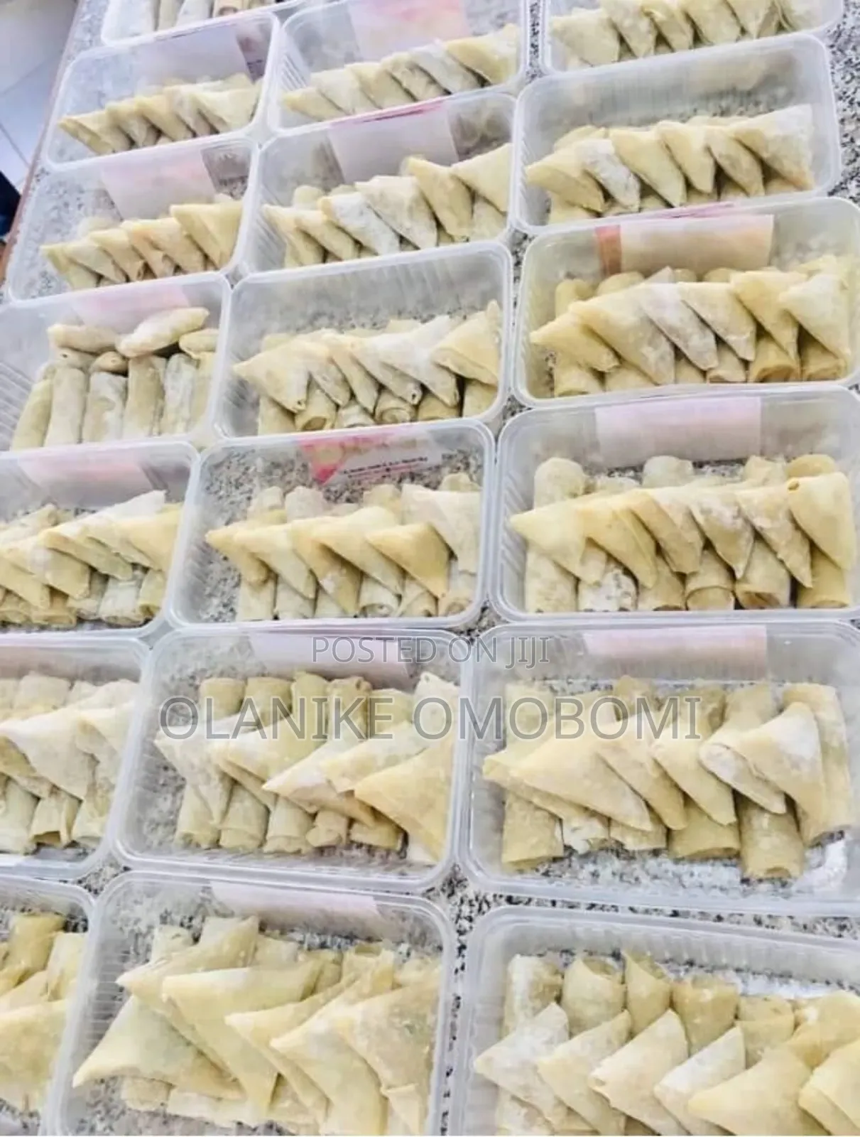 Samosa and Spring Rolls