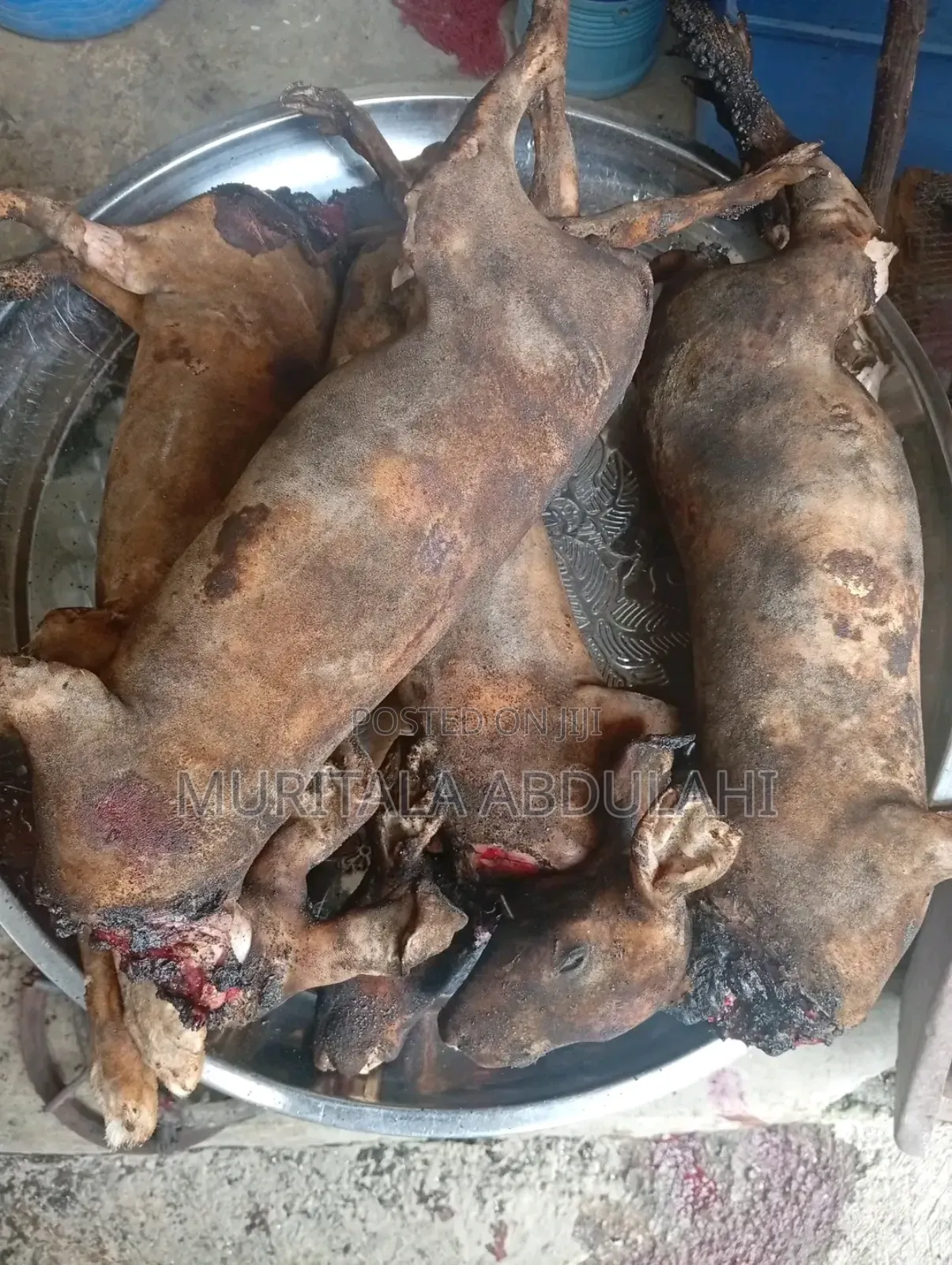 Rabbits Meat