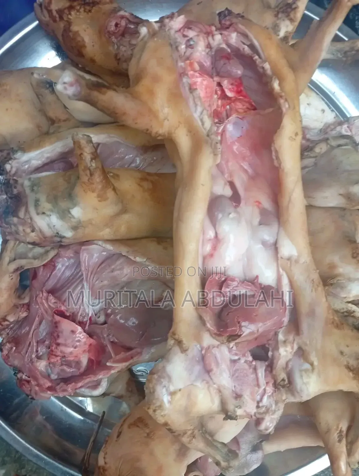 Rabbits Meat