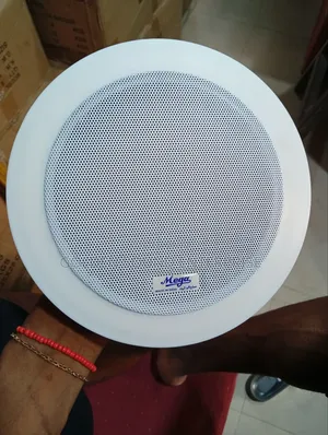 Mega Ceiling Speakers