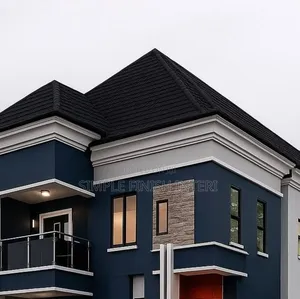 Professional House Painter