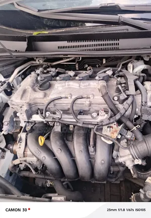 Toyota Corolla LE 2021 White