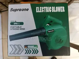 Electric Blower 800watt