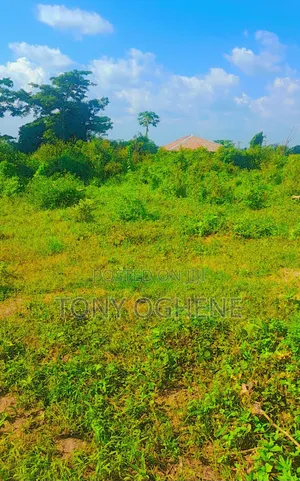 Plots and Acres of Land for Sale Facing Epe Road, Ketu-Epe Lagos