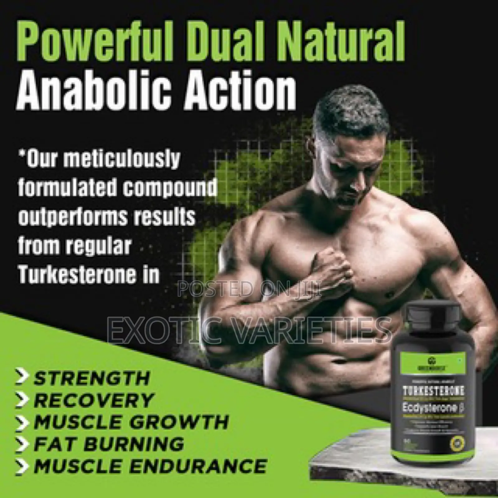 Turkesterone With Ecdysterone Natural Dual Action for Lean Muscles in ...