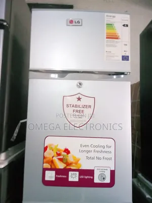 Lg Refrigerator Double Door Low Voltage