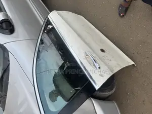 Complete Doors and Door Mat for S Class 222/223 Model