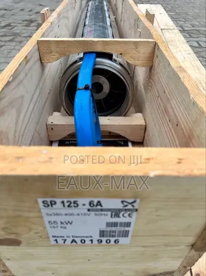 Grundfos Submersible Water Pump