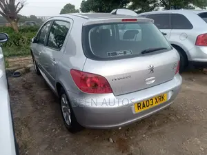 Peugeot 307 1.6 Break Grand Filou 2005 Silver