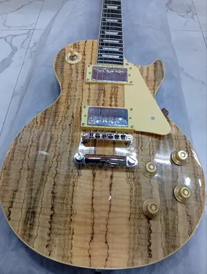 Gibson Less Paul 6 Strings Electric Lead Guitar