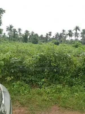 Estate Farmland for Sale