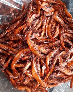 Dried Prawns