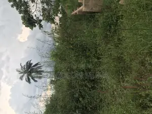 2 Plots of Land Located at Ogbaku Owerri Imo State