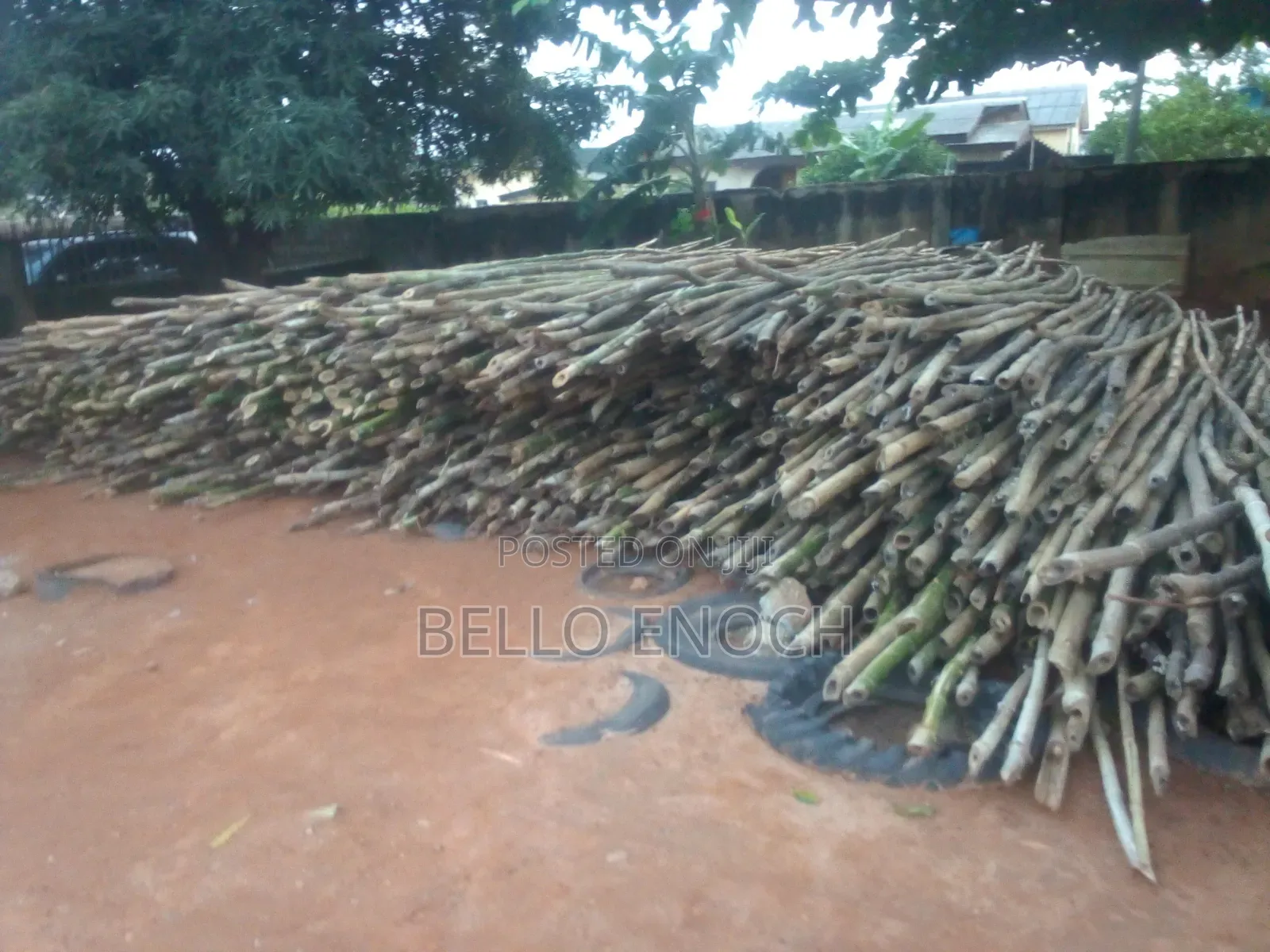 Bamboo for Sales