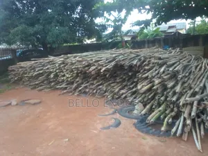 Bamboo for Sales