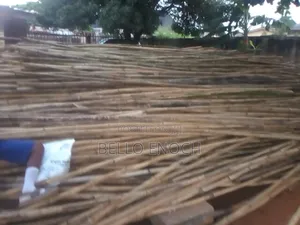Bamboo for Sales