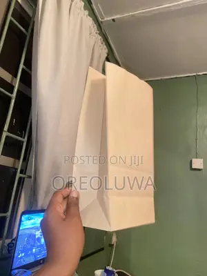 100pcs Paper Bag.