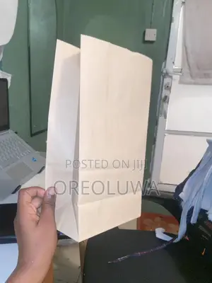 100pcs Paper Bag.