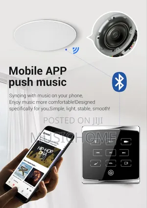 Bluetooth Inwall Smart Amplifier