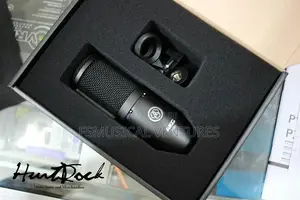 Akg P120 High Performance Condenser Microphone