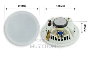 Frameless Inches Ceiling Speaker 50w With Transformer