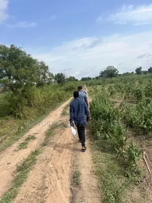 992 Acres of Land Boundry With River Comes With Cheaper Price