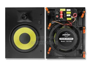 80w Inwall Speaker For Cinema And Home Audio