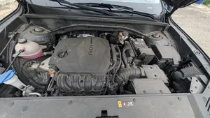 Kia Sorento 2022 Gray