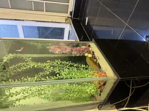 Aquariums Tank