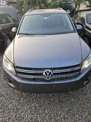 Volkswagen Tiguan SE 2013 Gray