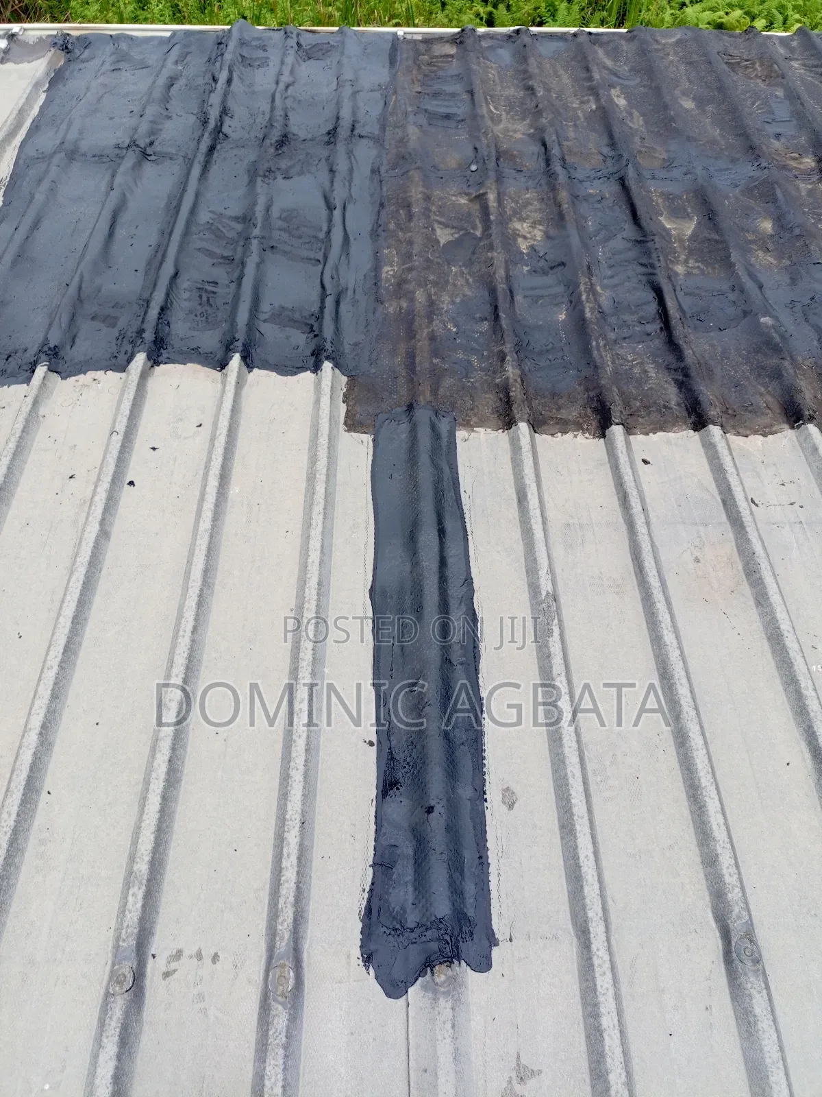 Ophlimity Leak-Proofing Expert