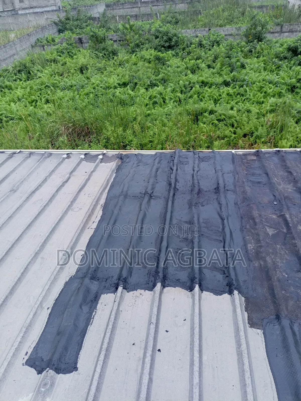 Ophlimity Leak-Proofing Expert