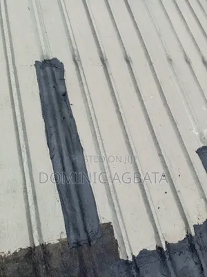 Eutrapely Roof Leak-Proofing