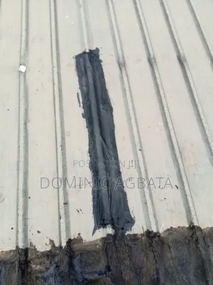 Eutrapely Roof Leak-Proofing