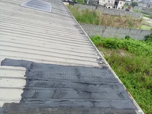 Eutrapely Roof Leak-Proofing