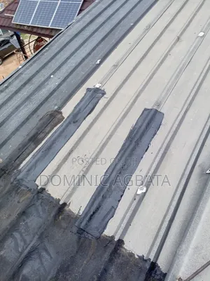 Eutrapely Roof Leak-Proofing