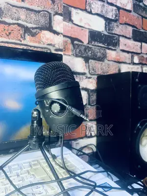 Studio Microphone
