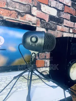 Studio Microphone