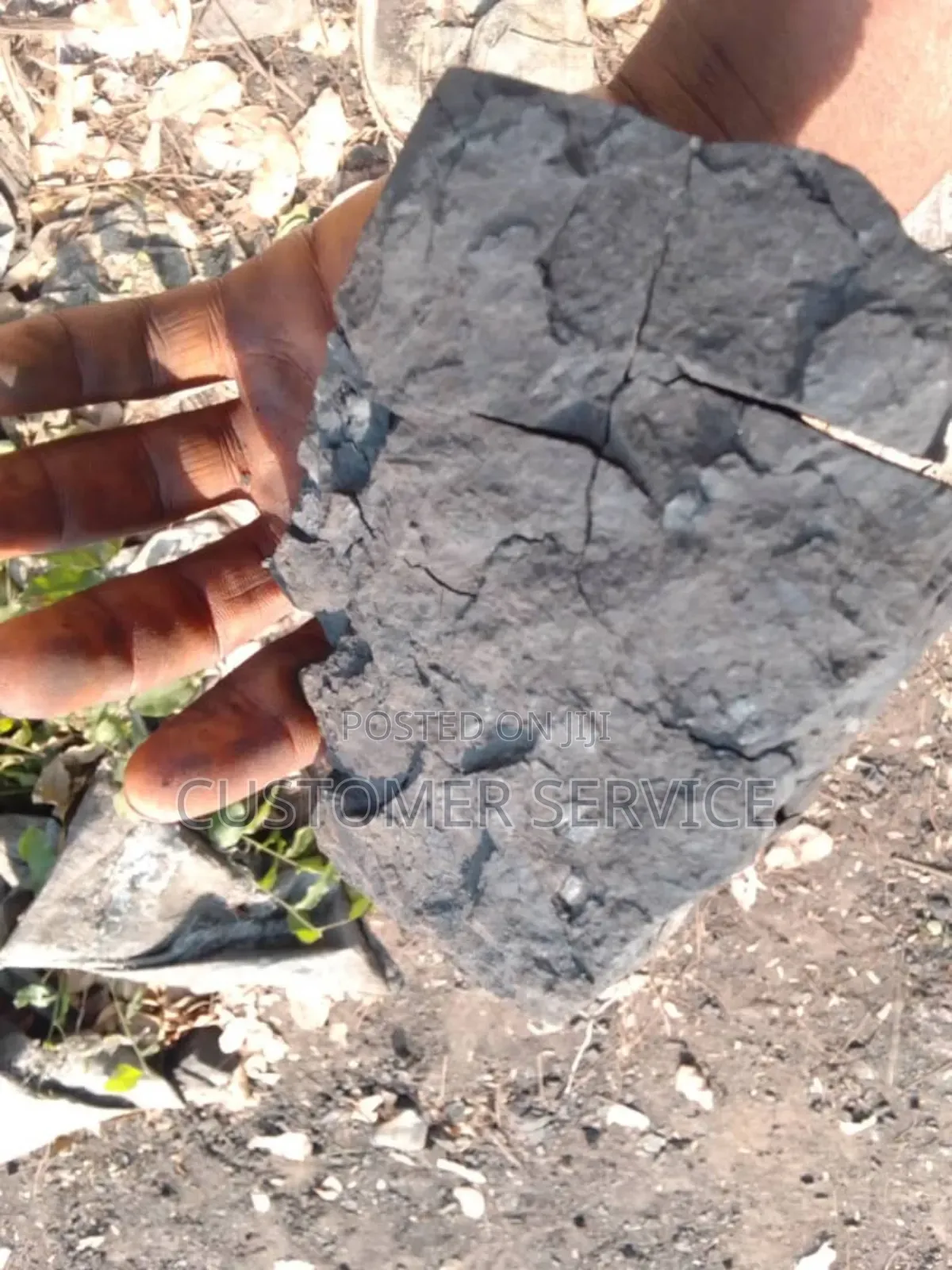 Coal Minerals