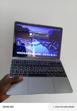 Laptop Apple MacBook 2015 8GB Intel Core M SSD 256GB