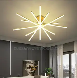 The Electrician