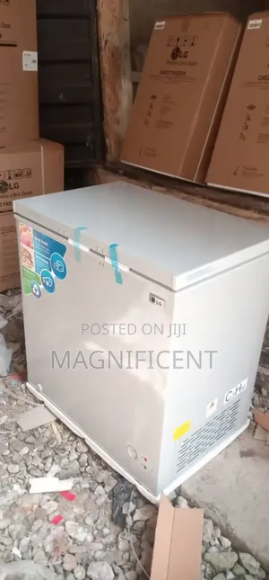Oringinal Brand New Lg Deep Freezer 250l
