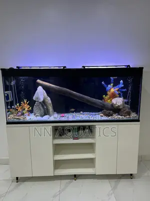 Aquarium With Stand