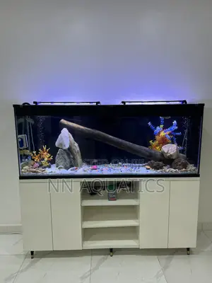 Aquarium With Stand