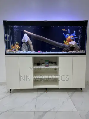 Aquarium With Stand