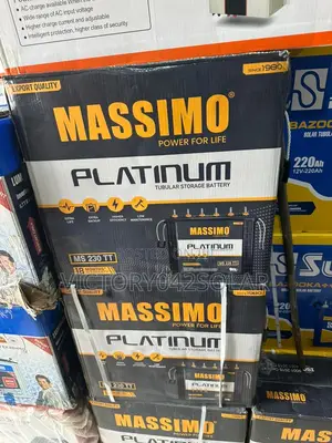 Platinum Tubular Storage Battery 220ah Massimo Power