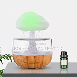 Cloud Rain Aromatherapy Humidifier Diffuser